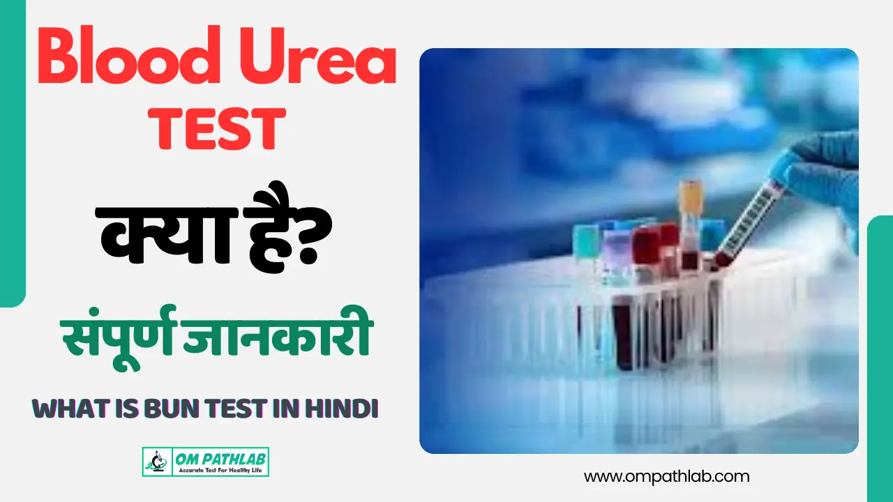 What is Blood Urea Test in Hindi