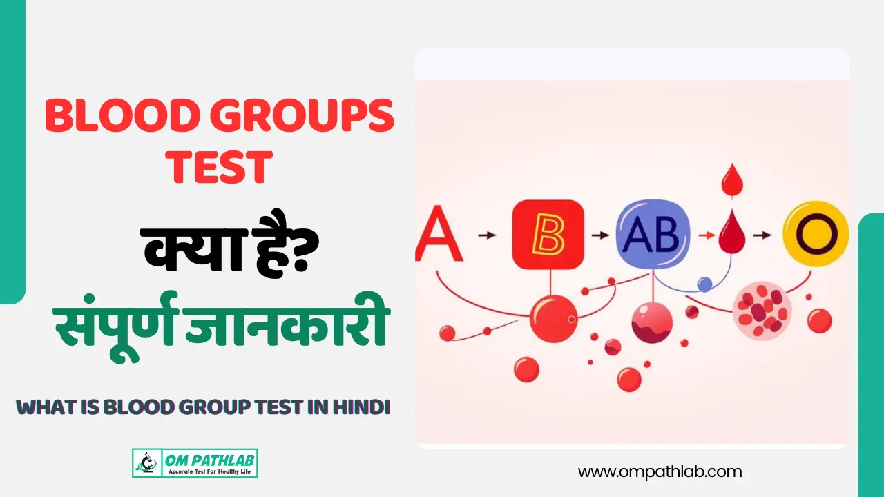 What is Blood groups Test in Hindi