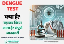 What is Dengue Test in Hindi