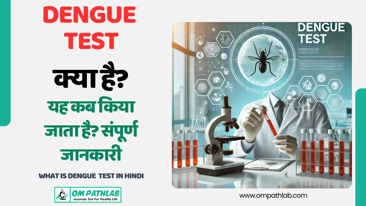 What is Dengue Test in Hindi