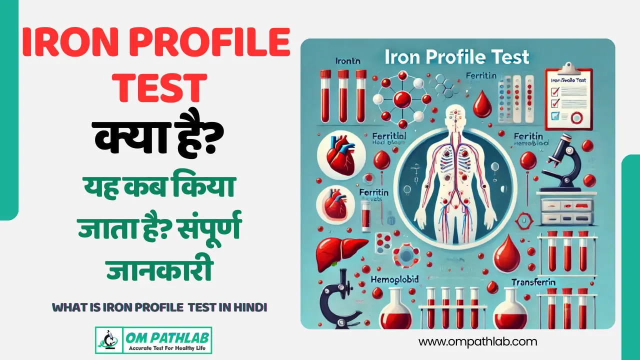 What is Iron Profile Test in Hindi